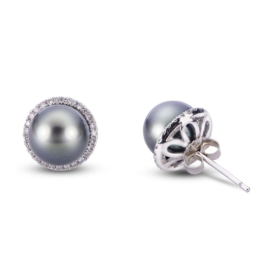 14KT White Gold Tahitian Pearl Earring