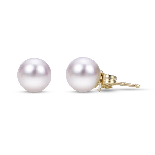 Crown Akoya Studs in 18K (Select MM Size & Gold Color)